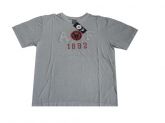 Camisa A&F Cinza