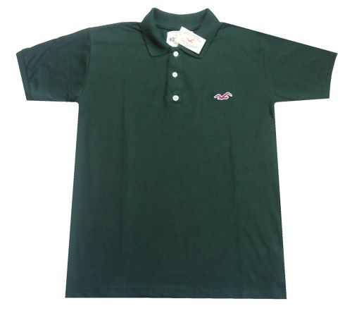 Camisa Polo Hollister Verde