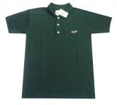 Camisa Polo Hollister Verde