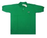Camisa Polo Hollister Verde